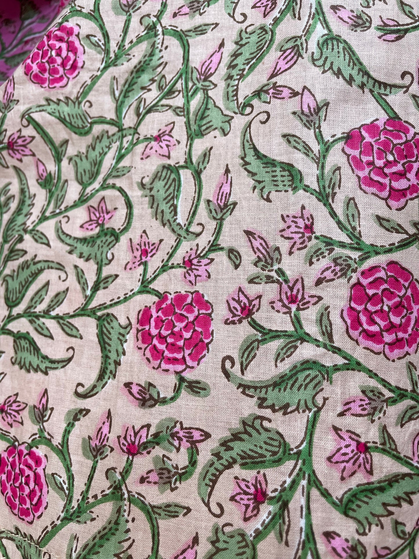 Rajasthan Bloom 2